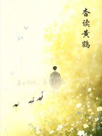 杳讀黃鶴