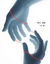 夢文：愿愛