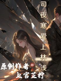 司夜寒愛(ài)上林淺
