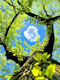 熙云：再次重逢的盛夏