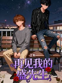 再見我的盛先生