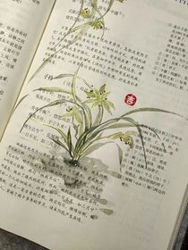 ——青青子衿——