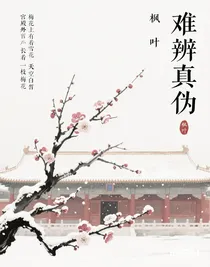 難辨真?zhèn)?/></a>
                    </div>
                    <div style=