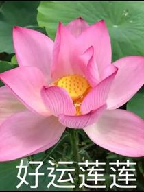 不同的倆人不同的結(jié)局