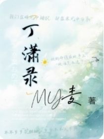 丁瀟錄