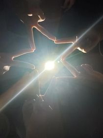 暗夜之下—桂櫓—