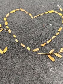 我不知道喜歡
