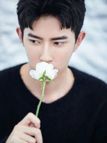 重生之不再踏入娛樂(lè)圈