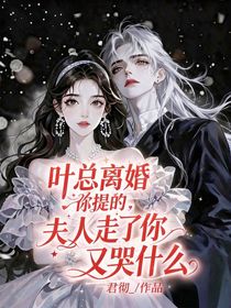 葉總離婚你提的，夫人走了你又哭什么