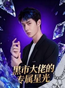 黑市大佬的專屬星光