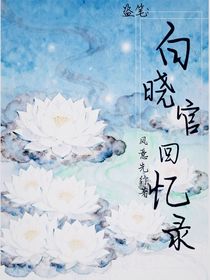 盜筆：白曉官回憶錄