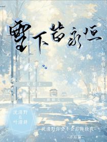 雪下皆永恒