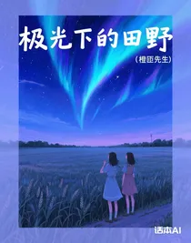 極光下的田野