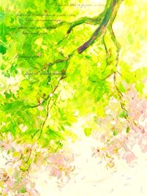 風(fēng)起春遇