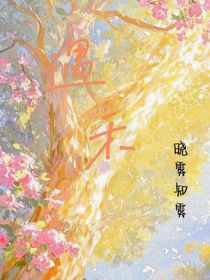 遇禾