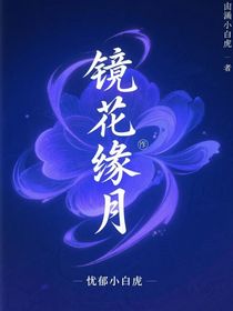 鏡花緣月