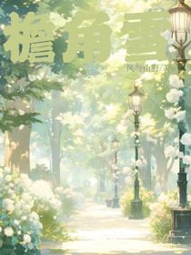 檐角雪