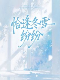 恰逢冬雪紛紛