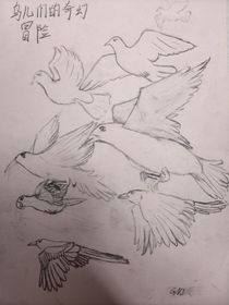 鳥兒們的奇幻冒險(xiǎn)