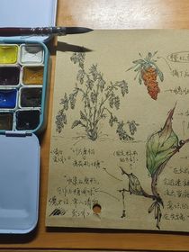問：魔女，何處是故鄉(xiāng)？