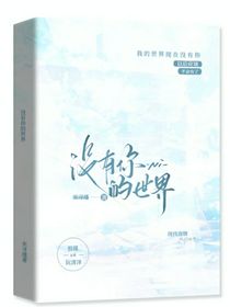 沒(méi)有你的世界Ni