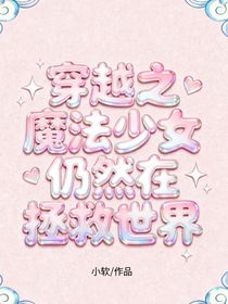穿越之魔法少女仍然在拯救世界