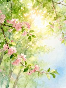 黑色五葉草：春風(fēng)幻桃箋