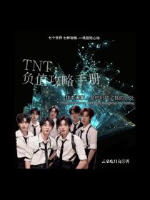 TNT：負(fù)值攻略手冊(cè)