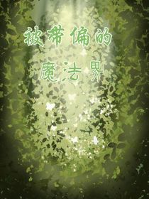 被帶偏的魔法界
