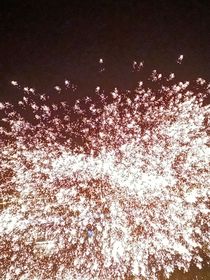渡人一生