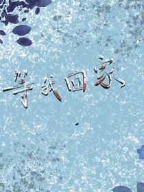 等我回家——