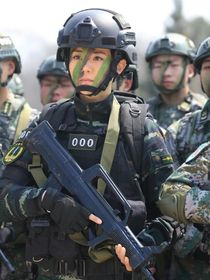 特種兵之霹靂火2……0