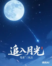 追入月光