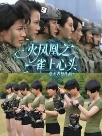 火凤凰之雀上心头