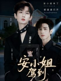 安小姐駕到