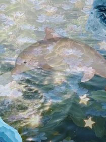 藍星花海豚