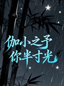 伽小之予你半寸光