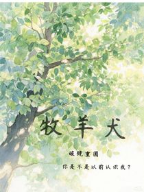 牧羊犬……