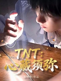 TNT：心藏須彌