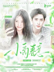 敖瑞鵬：小島春意