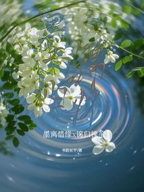 墨錦歸懷