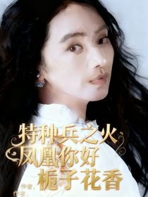 特種兵之火鳳凰你好