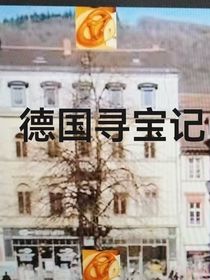 植物大戰(zhàn)僵尸尋寶記（德國(guó)）