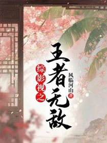 綜影視之王者無敵