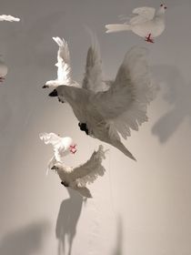星光落在你身上