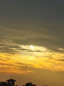 作者的个人经历（改编）