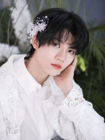 李嘉森回憶錄