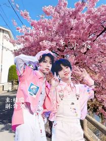 我撿到了一只小貓