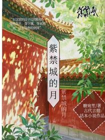 紫禁城的月
