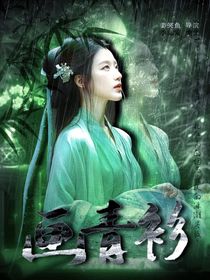 畫青衫之情寄錄